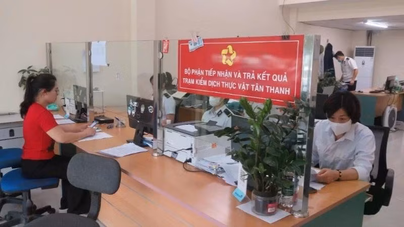 Recepción de registros de cuarentena de productos agrícolas antes de su exportación transfronteriza en la Estación de Cuarentena Vegetal de Tan Thanh (Lang Son). (Foto: nhandan.vn)