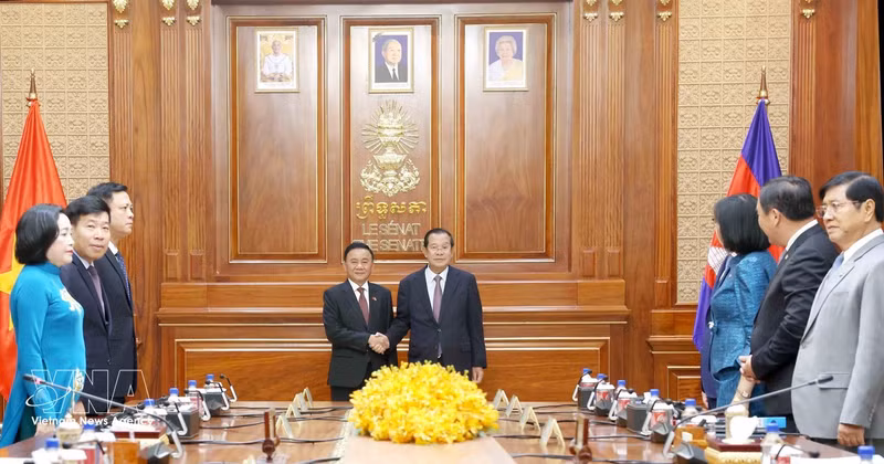 El miembro del Buró Político e integrante permanente del Secretariado del Comité Central del Partido Comunista de Vietnam (PCV), Tran Cam Tu, se reúne con el jefe de Estado interino, presidente del Partido Popular de Camboya y titular del Senado, Hun Sen. (Foto: VNA)