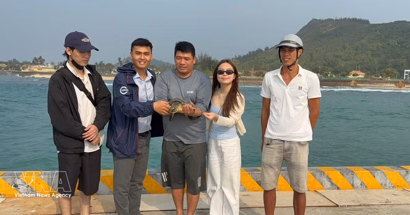 Turistas liberan la tortuga marina. (Fuente: VNA)