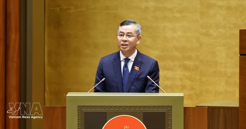 El ministro de Finanzas, Ngo Van Tuan, presenta el informe de verificación. (Foto: VNA)