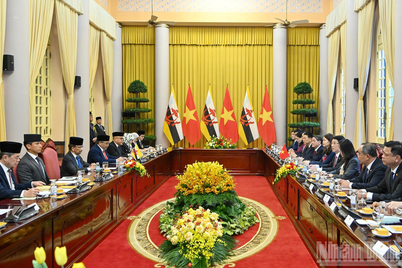 Panorama del evento.