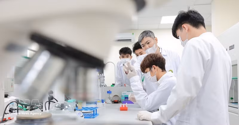 Los profesores de la Academia Nacional de Agricultura de Vietnam guían a los estudiantes en las técnicas analíticas de laboratorio. (Foto: VNA)