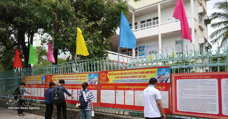 Estudiantes de la Universidad de Educación Técnica (Universidad de Da Nang) revisan la lista de candidatos. (Foto: VNA)