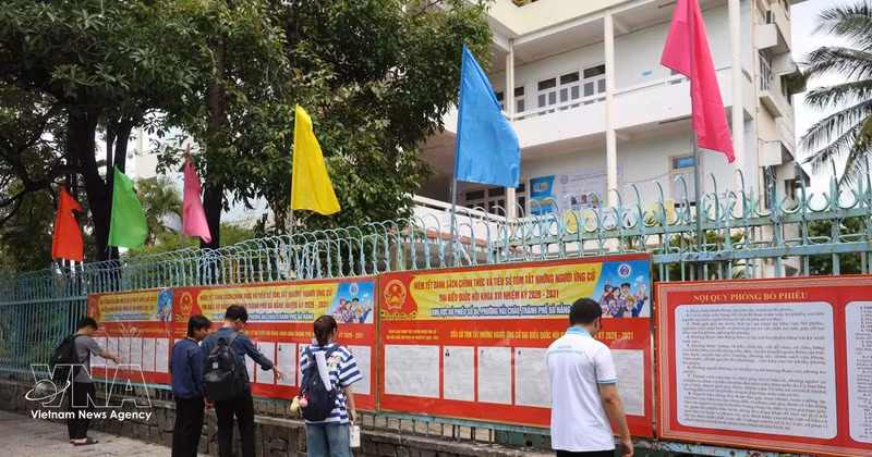 Estudiantes de la Universidad de Educación Técnica (Universidad de Da Nang) revisan la lista de candidatos. (Foto: VNA)