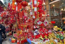 Hanói entra en el punto álgido de su temporada de compras de fin de año (Foto: Nhan Dan)