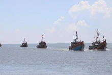 Foto ilustración (Fuente: VNA)