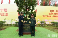 El ministro de Defensa de Vietnam, Phan Van Giang, y su homólogo chino, Dong Jun. (Foto: qdnd.vn)