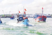 Lucha contra pesca ilegal: Nghe An intensifica supervisión de barcos pesqueros
