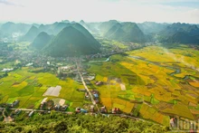 [Foto] Colores de la abundancia