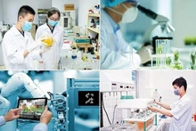 Foto: baochinhphu.vn