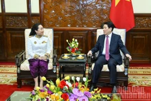 El presidente de Vietnam, Luong Cuong, recibe a la embajadora de Camboya, Touch Pharat. (Foto: Nhan Dan)