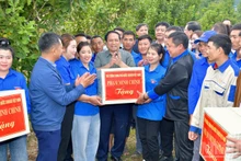 El primer ministro de Vietnam, Pham Minh Chinh, visita un modelo de cultivo de macadamia en la aldea Huoi Tao B (Foto: VNA)
