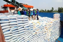 Exportaciones de arroz de Vietnam aumentan un 5% en los dos primeros meses de 2026 (Foto: VNA)