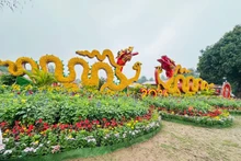 [Foto] Singular calle floral en Ciudadela Imperial de Thang Long en ocasión del Tet