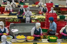 Vietnam impulsa reestructuración de cadena de valor agrícola ante alza de costos logísticos