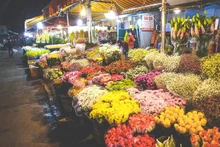 [Vídeo] Mercado de flores en Hanói se llena de ambiente antes del Tet