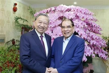 El secretario general del Partido Comunista de Vietnam, To Lam, realiza una visita y transmite felicitaciones por el Año Nuevo Lunar al exsecretario general Nong Duc Manh. (Foto: VNA)