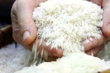 Foto de ilustración. (Fuente: VTV)