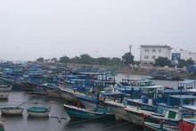 La provincia de Dak Lak cuenta actualmente con dos mil 575 embarcaciones pesqueras registradas en el sistema nacional de bases de datos pesqueras. (Foto: nongnghiepmoitruong.vn)