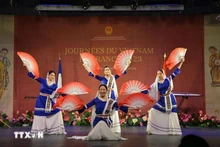 Una de las actuaciones artísticas en el evento. (Foto: VNA)