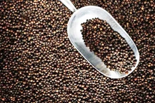 Foto ilustrada (Fuente: VNA)