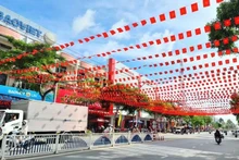 Un tramo de la calle Nguyen Hue, en el barrio de Cao Lanh, provincia de Dong Thap, decorado para celebrar el XIV Congreso Nacional del Partido. (Foto: dongthap.gov.vn)
