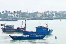 Foto ilustrada (Fuente: VGP)