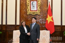 El presidente de Vietnam, Luong Cuong, y la embajadora de la República Árabe de Egipto, Amal Abdel Kader Elmorsi Salama. (Foto: Nhan Dan)