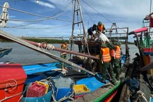 La provincia de Nghe An despliega unos 500 soldados, tres barcos y 30 vehículos para operaciones de rescate.