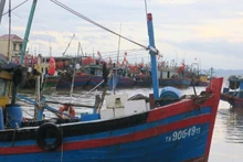 Ciudad de Hai Phong registra avances positivos en la lucha contra la pesca ilegal