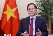 El viceprimer ministro y canciller de Vietnam, Bui Thanh Son (Foto: VNA)