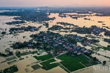 Rey de Camboya expresa su solidaridad con Vietnam tras recientes inundaciones