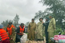 El viceprimer ministro Tran Hong Ha y su delegación inspeccionaron el refuerzo del dique de Hoi Thong en la comuna de Dan Hai, provincia de Ha Tinh. (Foto: VNA)