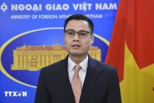 El vicecanciller vietnamita Dang Hoang Giang. (Foto: VNA)