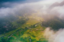 Temporada dorada en Pu Luong