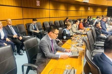 El embajador Vu Le Thai Hoang, representante permanente de Vietnam ante la ONU y otras organizaciones internacionales en Viena (Austria), interviene en la cita. (Foto: Nhan Dan)