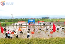 Animado festival para celebrar el inicio del ciclo agrícola en Quang Ninh