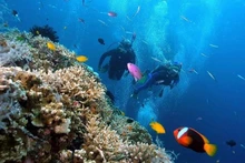 Nha Trang se encuentra entre los principales destinos de 'turismo lento' en Asia. (Foto: Nhan Dan)