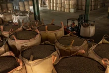 El café vietnamita todavía tiene muchas oportunidades de exportarse al mercado tailandés.