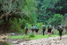 El equipo de estudio de la biodiversidad en la Reserva Natural Pu Huong. (Foto: VNA)