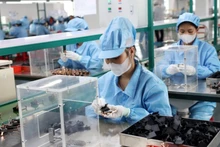 Foto de ilustración. (Fuente: VNA)