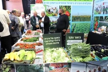 En la cita (Foto: VNA)