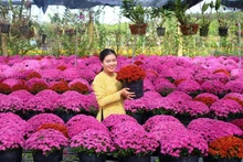 Foto: sggp.org.vn