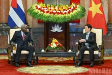 El presidente de Vietnam, Luong Cuong, conversa con el titular de la Asamblea Nacional del Poder Popular de Cuba, Esteban Lazo Hernández. (Foto: Nhan Dan)
