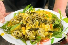 Una variedad de tentadores platillos de caracoles atraen a los comensales. (Foto: dantri.com.vn)