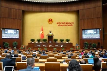 Parlamento vietnamita evalúa ampliación de actividades periodísticas en ciberespacio