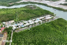Zona residencial concentrada en medio del ecosistema de manglares de la isla de Thieng Lieng. (Foto: VNA)