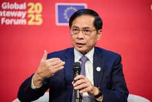 El viceprimer ministro vietnamita Bui Thanh Son en el evento. (Foto: baochinhphu.vn)