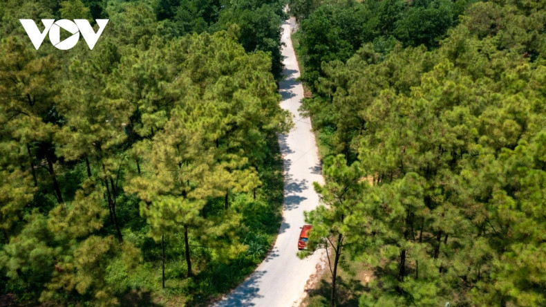 Según el Ministerio de Agricultura y Desarrollo Rural, el país cuenta con 14,79 millones de hectáreas de bosques. Al cuidar las áreas forestales con apoyo del Estado, la gente puede beneficiarse del bosque, como el cultivo de hierbas medicinales y el desarrollo del turismo.