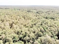 [Video] Protegen la biodiversidad en la Reserva Natural de Lung Ngoc Hoang